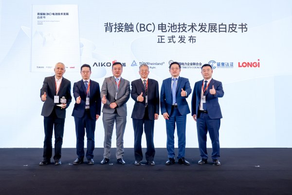 配资优秀炒股配资门户 全球首份BC技术发展白皮书发布