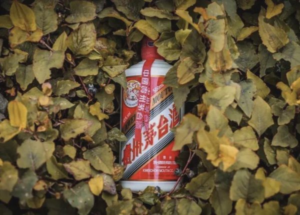 配资网络炒股 飞天茅台，价格崩了