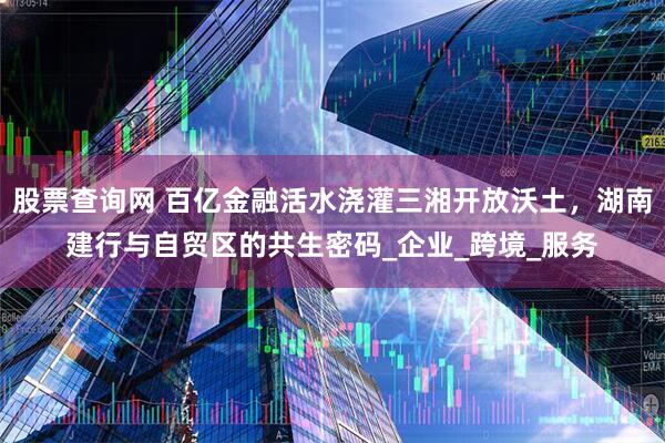 股票查询网 百亿金融活水浇灌三湘开放沃土，湖南建行与自贸区的共生密码_企业_跨境_服务