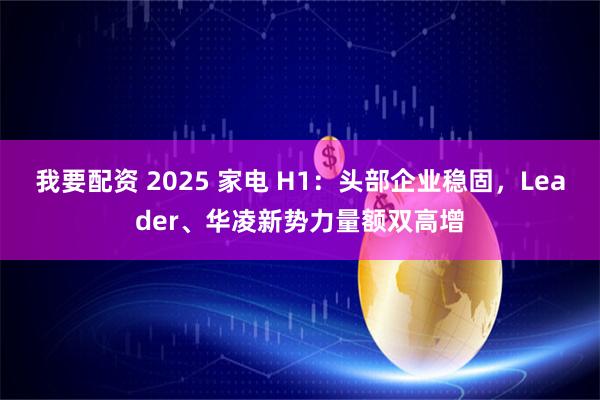 我要配资 2025 家电 H1：头部企业稳固，Leader、华凌新势力量额双高增