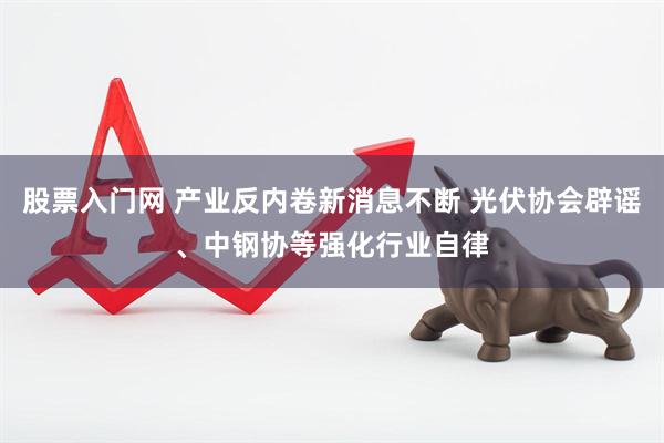 股票入门网 产业反内卷新消息不断 光伏协会辟谣、中钢协等强化行业自律